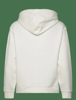 ARCHIVE SHIELD HOODIE - Huvtröjor