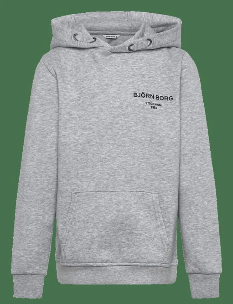 BORG ESSENTIAL 1 HOODIE - Huvtröjor
