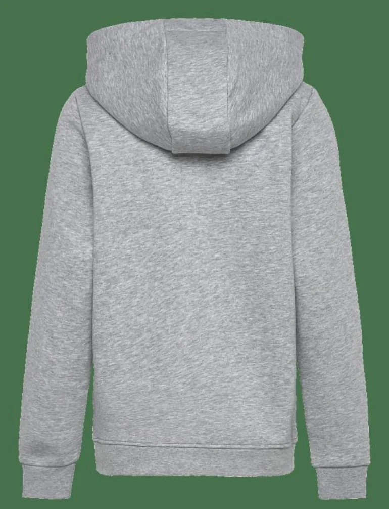 BORG ESSENTIAL 1 HOODIE - Huvtröjor