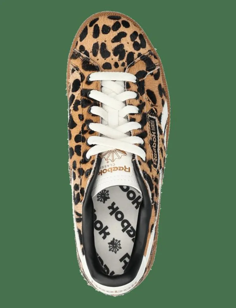 CLUB C GROUNDS UK - Låga sneakers