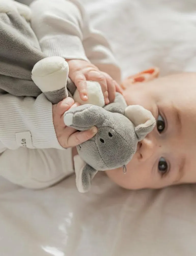 Diinglisar, Snuttefilt, Elefant, Grå - Snuttefiltar