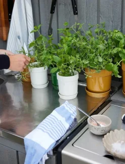 Ditte liten skål 2-pack - Frukostskålar