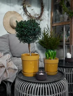 Elise Pot - Krukor