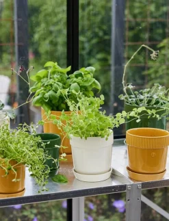 Elise Pot - Krukor