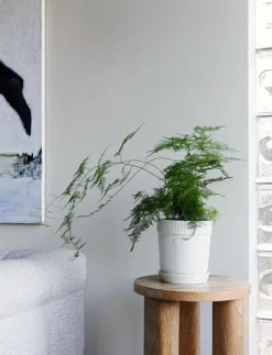 Elise Pot - Krukor