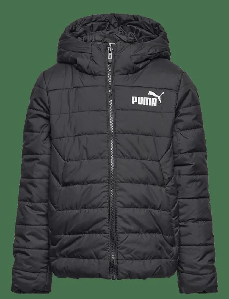 ESS Hooded Padded Jacket - Dunjackor & fodrade jackor