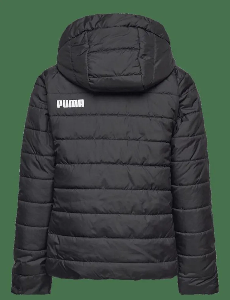 ESS Hooded Padded Jacket - Dunjackor & fodrade jackor