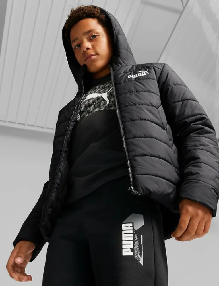 ESS Hooded Padded Jacket - Dunjackor & fodrade jackor