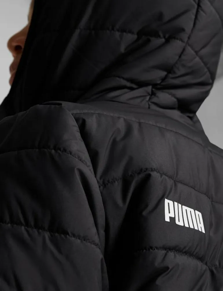 ESS Hooded Padded Jacket - Dunjackor & fodrade jackor