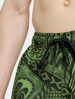 FARM SWIMSHORT - Badbyxor