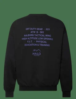 HALO GRAPHIC BOXY CREW - Sweatshirts