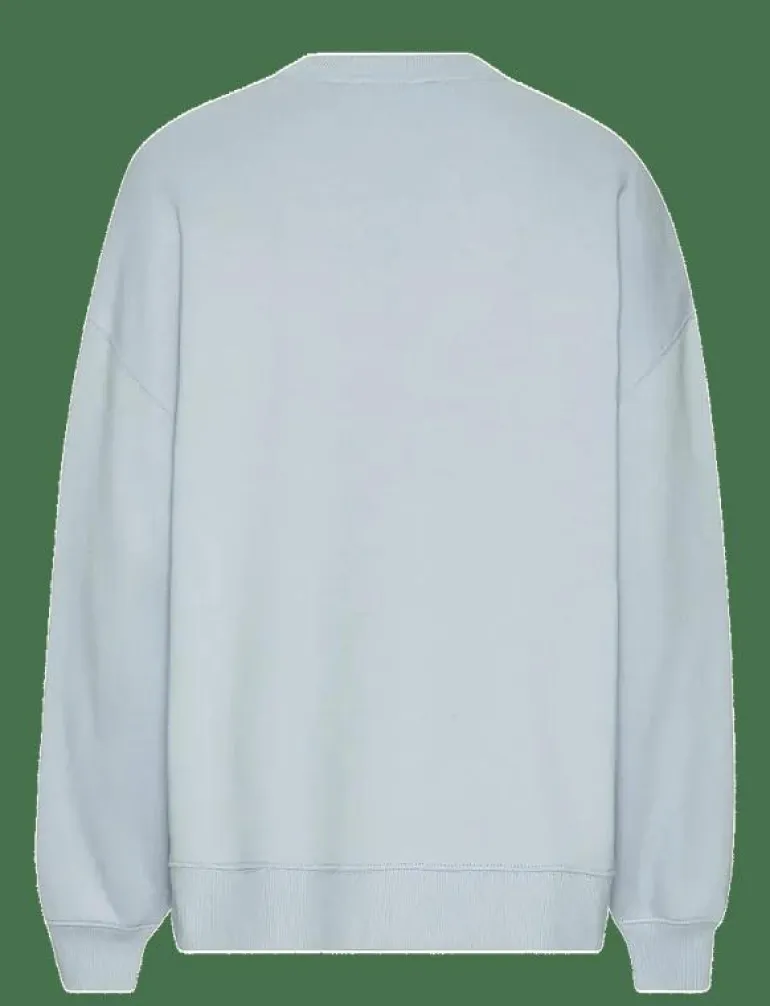 HEAVY SWEAT CREWNECK - Sweatshirts