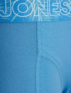 JACCANVEY TRUNKS 10 PACK LN - Boxershorts