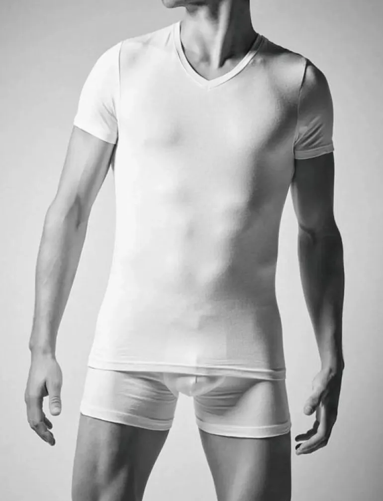 JBS 2-pack t-shirt V-neck GOTS - Kortärmad t-shirt
