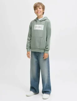 JJHAYATO SWEAT HOOD JNR - Huvtröjor