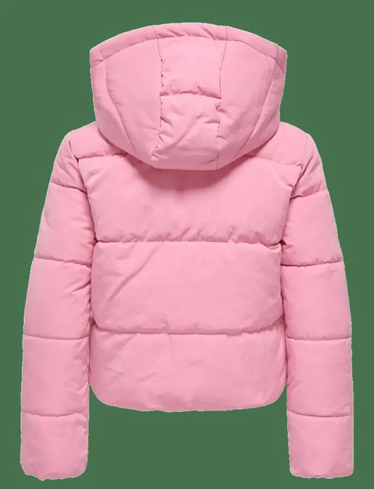 KOGMALIA SHORT PUFFER JACKET OT OTW - Dunjackor & fodrade jackor