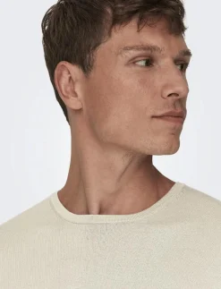 ONSWYLER LIFE REG 14 LS CREW KNIT NOOS - Rundhalsad