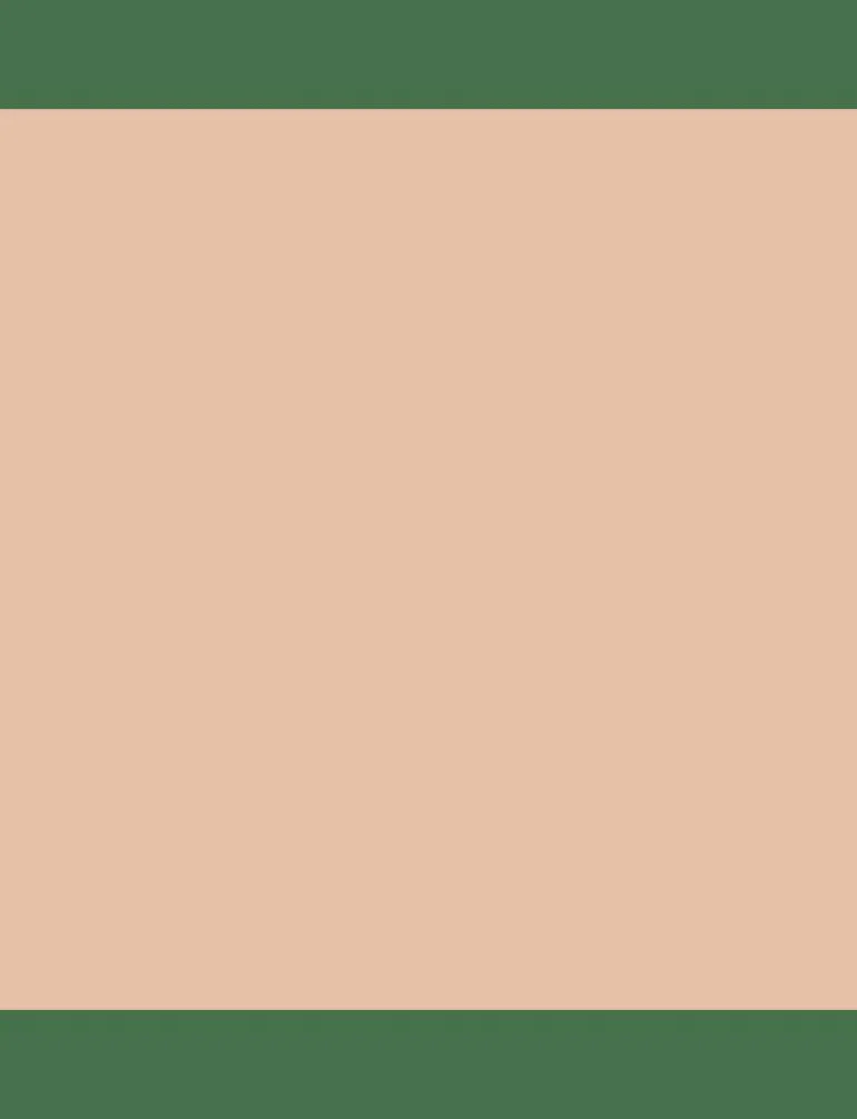 Perfect Matte Serum Foundation - Ansikte