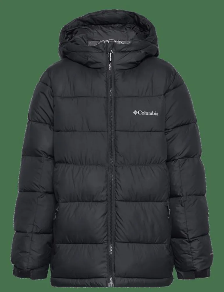 Pike Lake II Hooded Jacket - Dunjackor & fodrade jackor