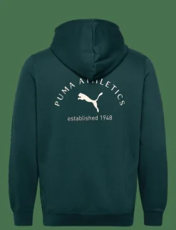 PUMA CLASS Graphic Hoodie FL - Huvtröjor