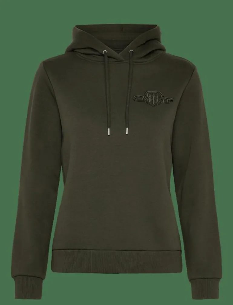REG TONAL SHIELD HOODIE - Huvtröjor