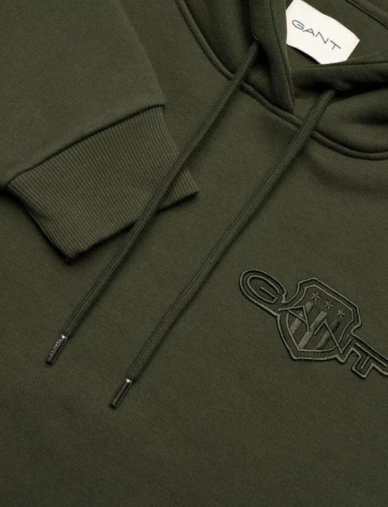 REG TONAL SHIELD HOODIE - Huvtröjor